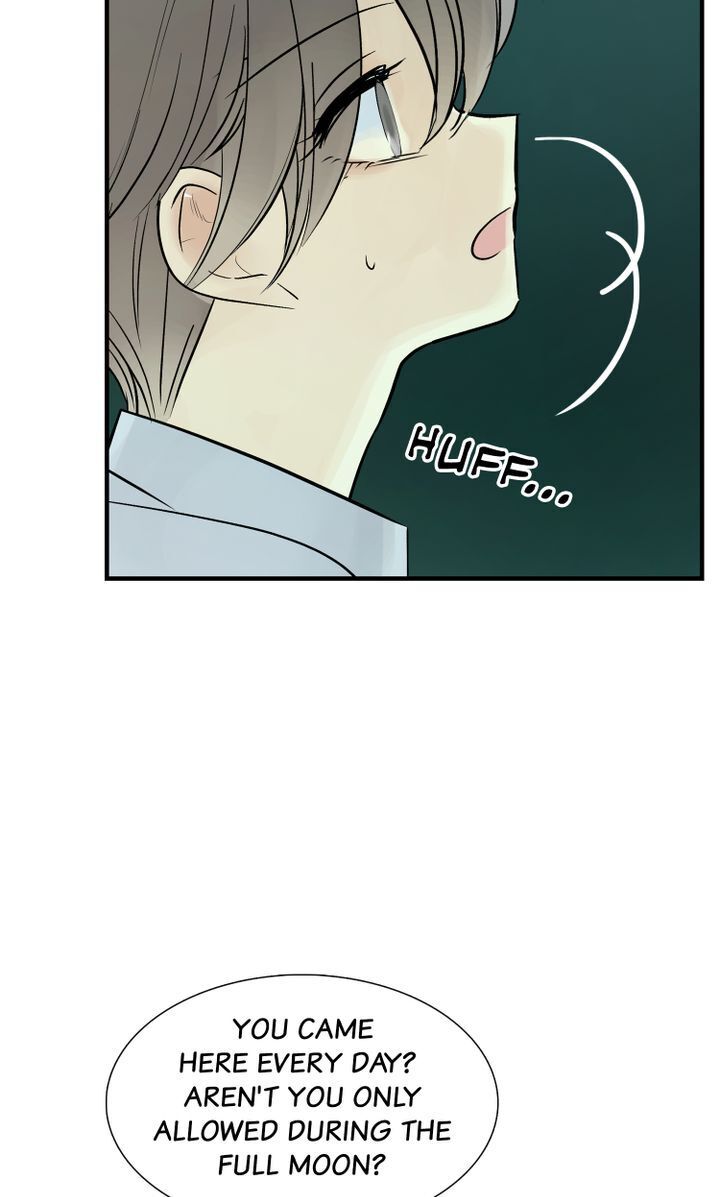 Totem’s Realm, Chapter 39