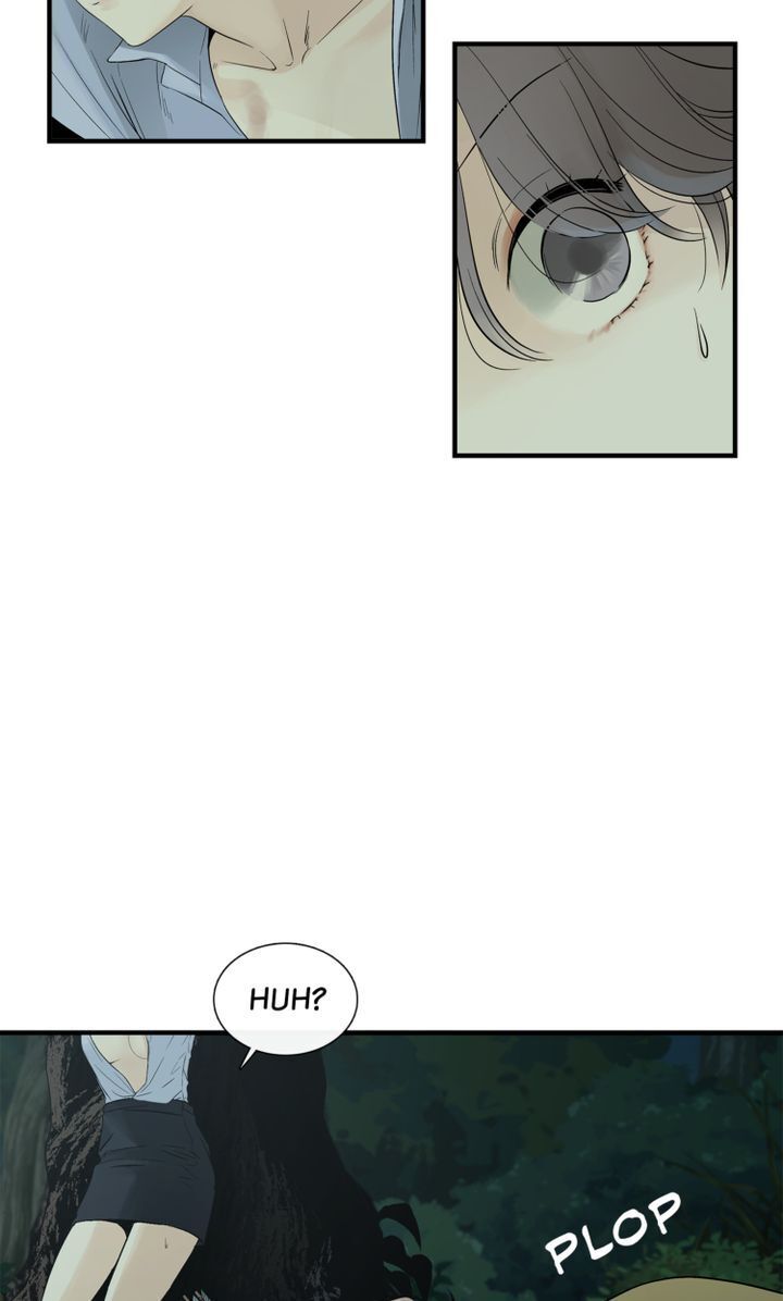 Totem’s Realm, Chapter 2