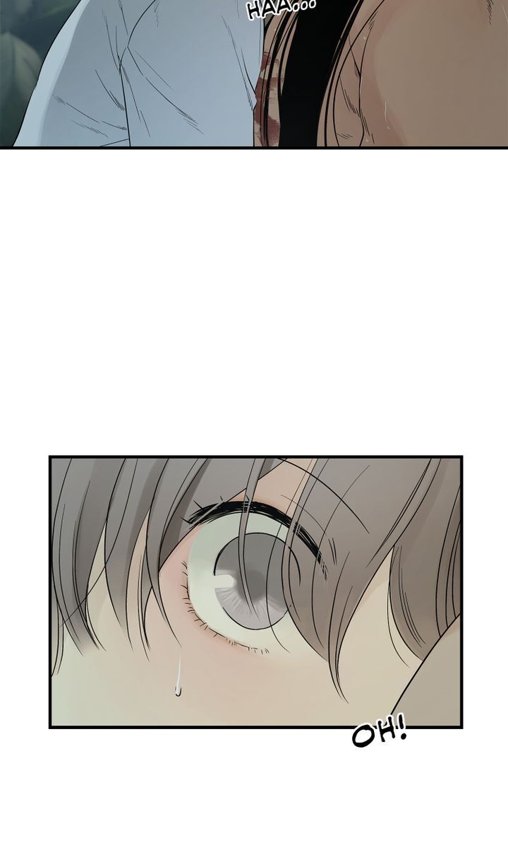 Totem’s Realm, Chapter 2