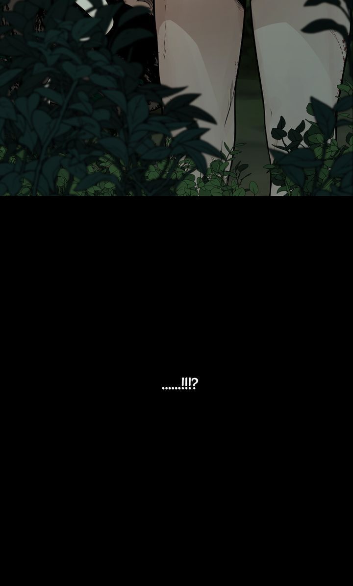 Totem’s Realm, Chapter 0