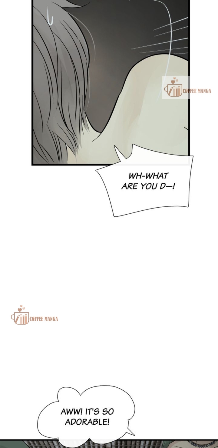 Totem’s Realm, Chapter 79