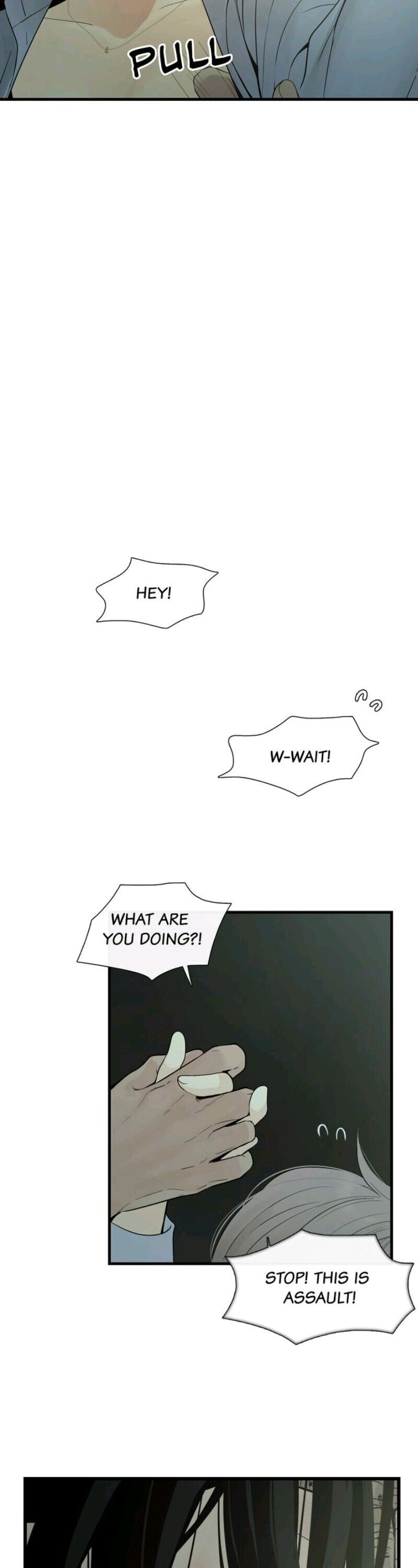 Totem’s Realm, Chapter 4