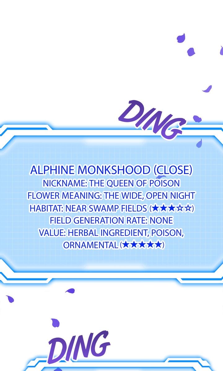 Ding Name Meaning