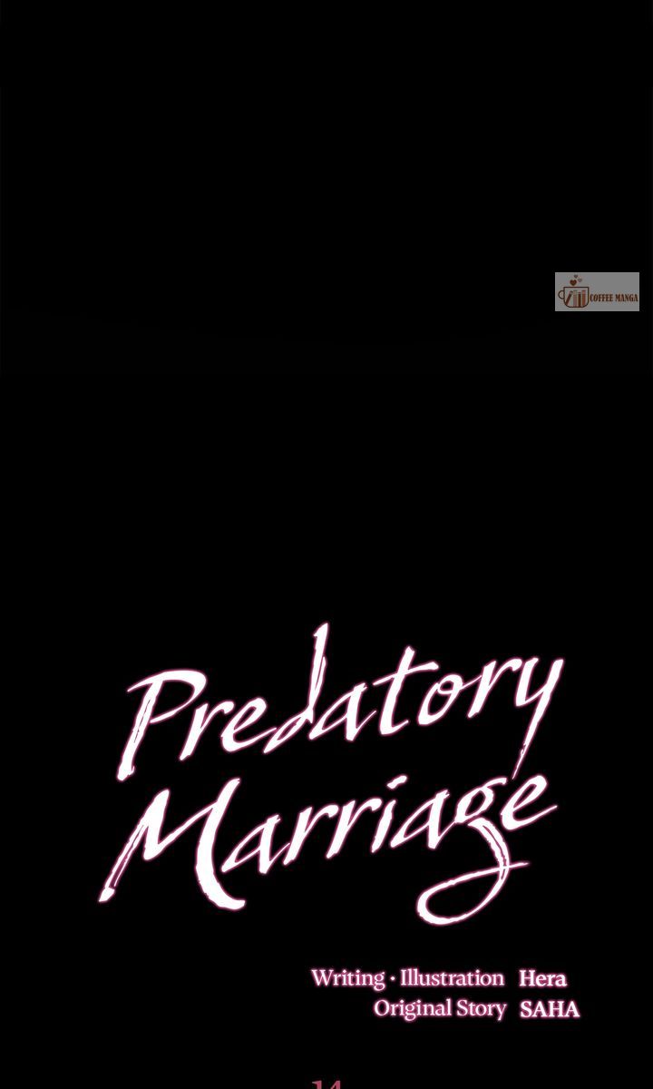 Predatory Marriage, Chapter 14