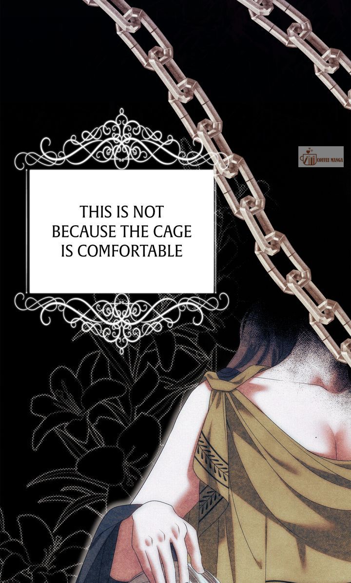 Predatory Marriage, Chapter 9