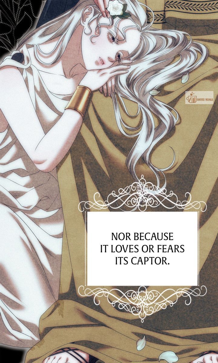 Predatory Marriage, Chapter 9