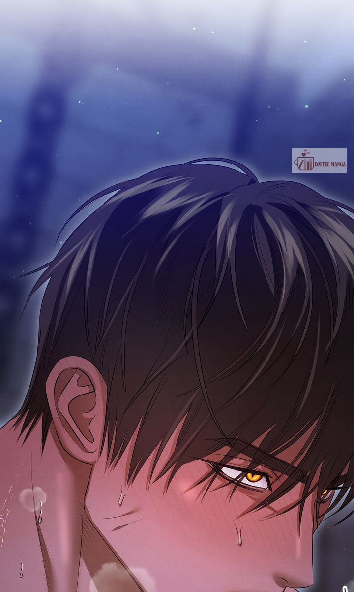 Predatory Marriage, Chapter 36