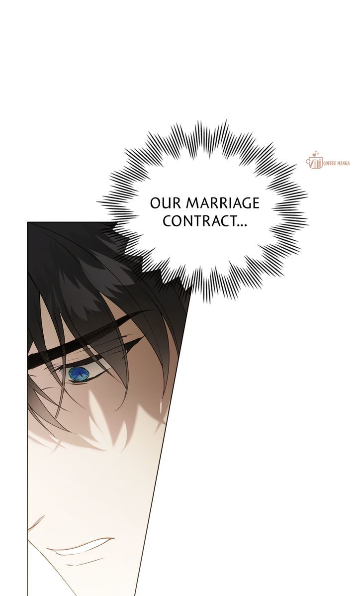 It Was Just a Contract Marriage, chapter 61