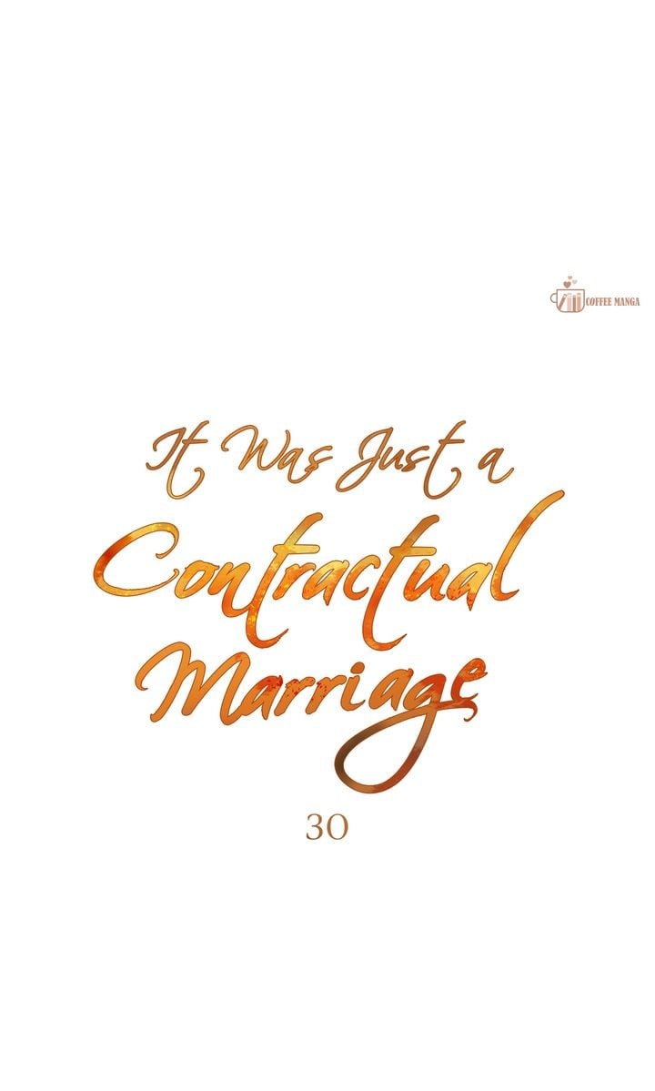 It Was Just a Contract Marriage, chapter 30