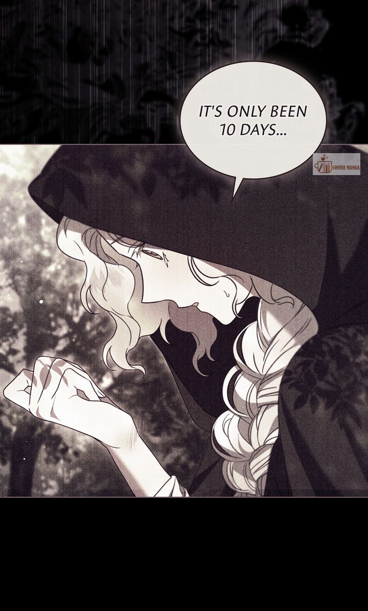It Was Just a Contract Marriage, chapter 75