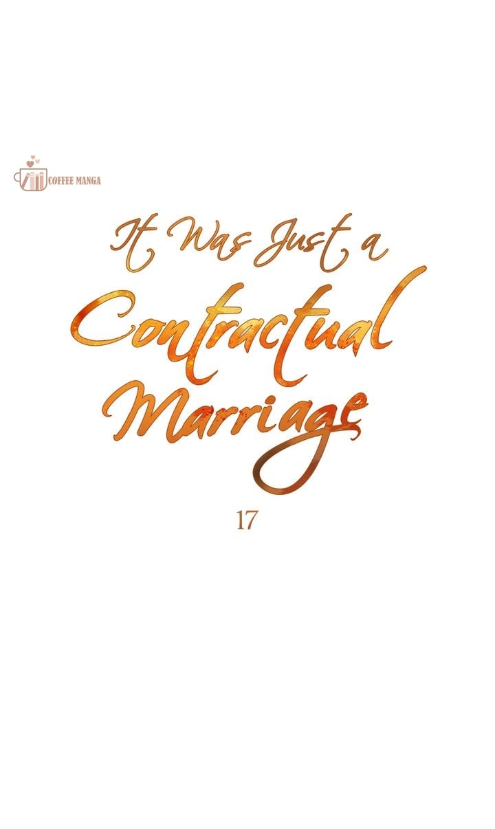 It Was Just a Contract Marriage, chapter 17