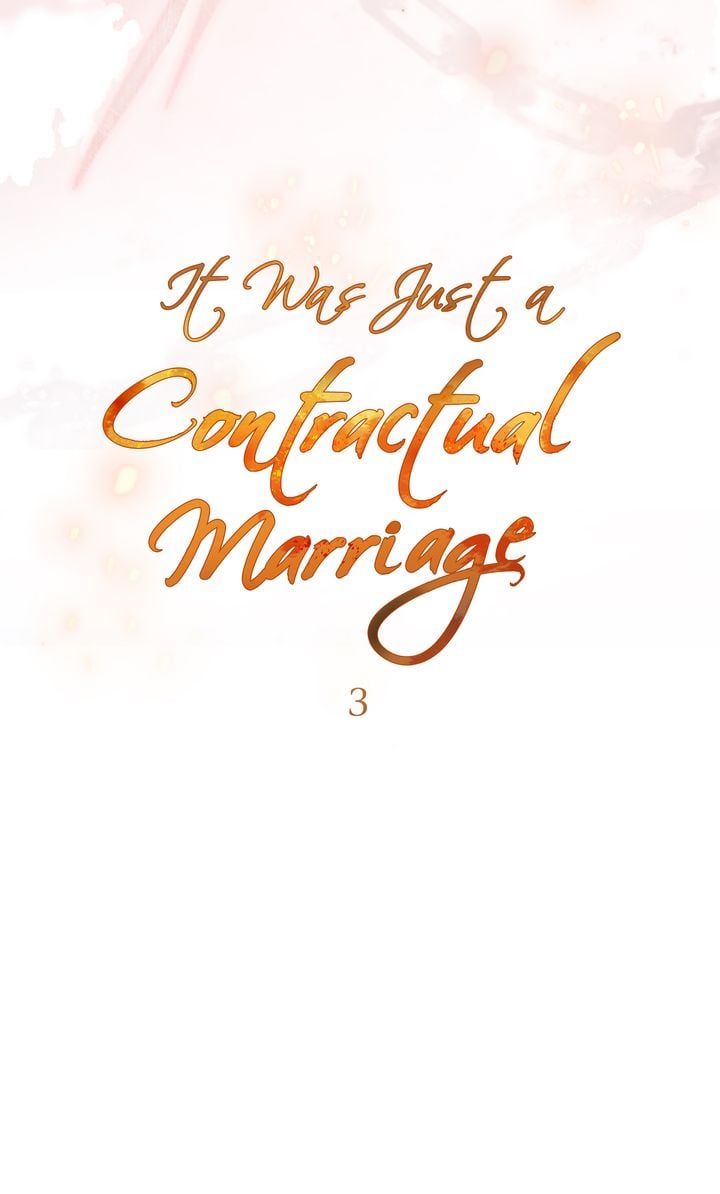 It Was Just a Contract Marriage, chapter 3