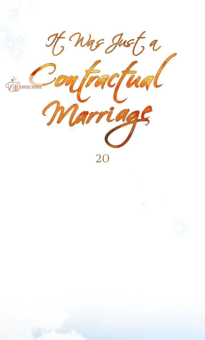 It Was Just a Contract Marriage, chapter 20