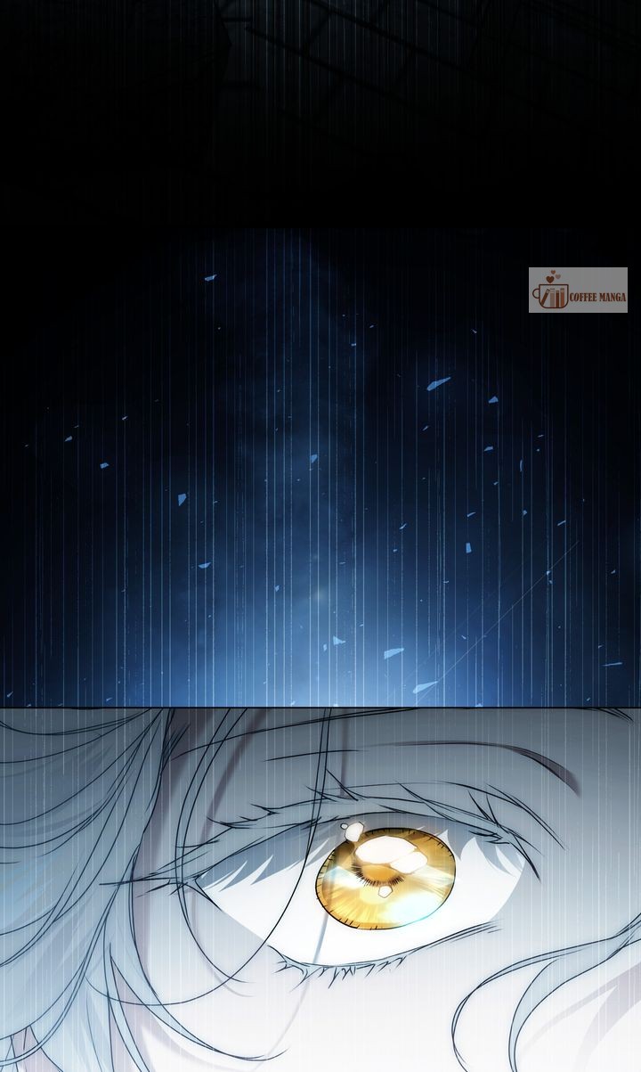 It Was Just a Contract Marriage, chapter 81